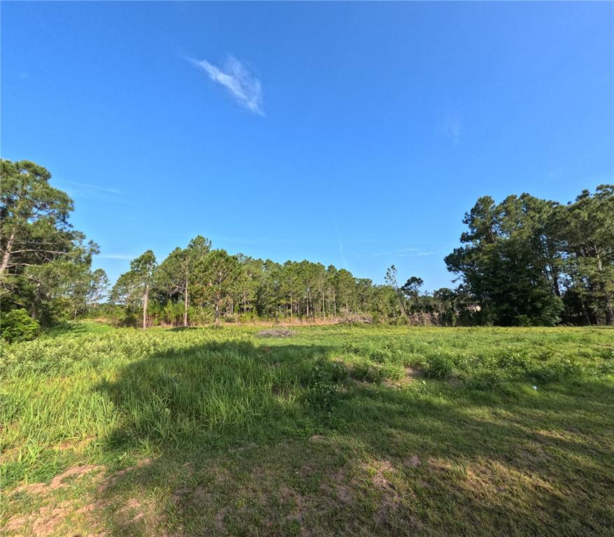 11031 ARROWTREE BOULEVARD, CLERMONT, FL — photo 5 of 30