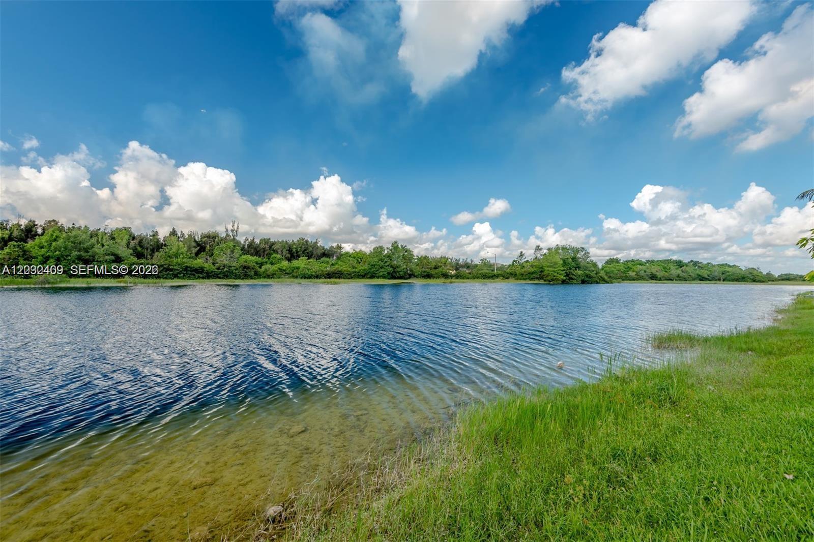 A view of a lake with a grassy shoreline under a blue sky with clouds — MIRAMAR, FL