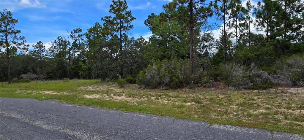 A vacant, wooded lot with sandy ground sits adjacent to an asphalt road — 2899 W SANTANA DRIVE, CITRUS SPRINGS, FL