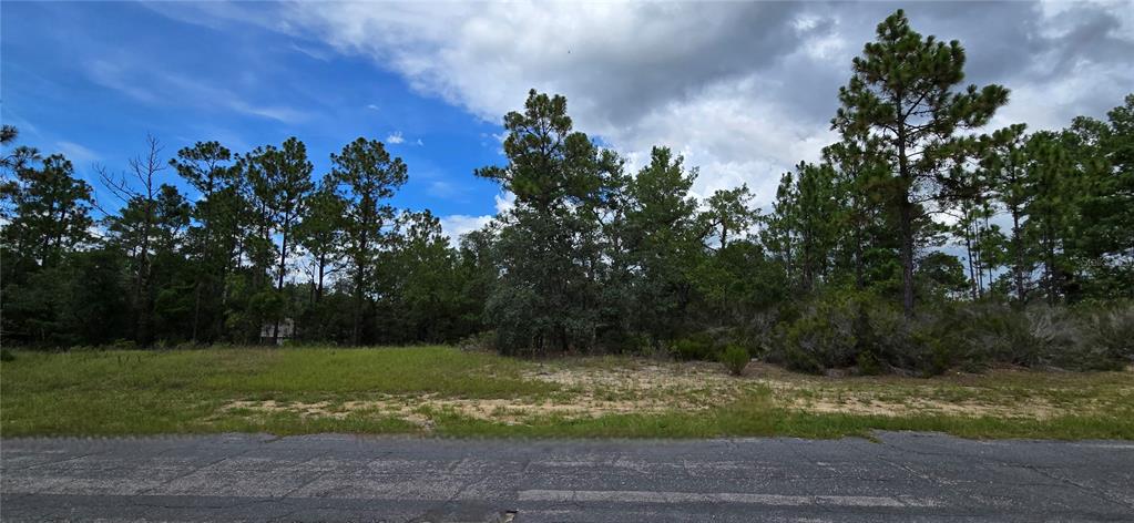 A vacant, wooded lot with sandy ground is viewed from an adjacent paved road — 2899 W SANTANA DRIVE, CITRUS SPRINGS, FL