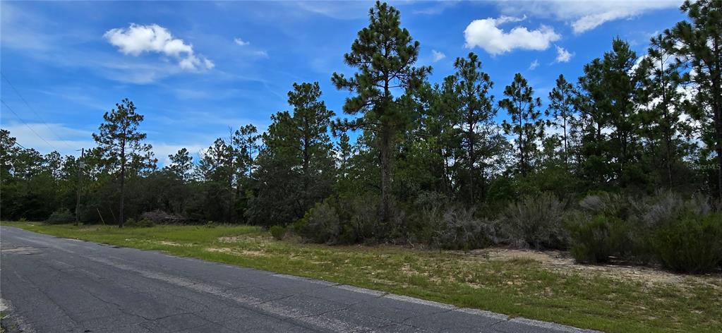 A paved road runs alongside a vacant, wooded lot under a blue sky — 2899 W SANTANA DRIVE, CITRUS SPRINGS, FL