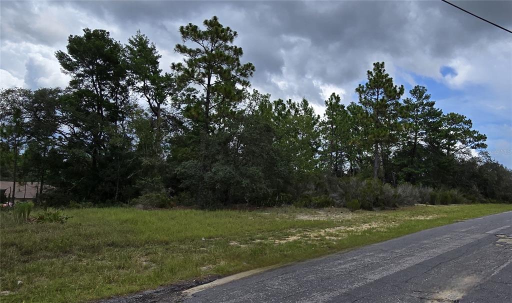 A vacant, wooded lot sits beside a paved road under a cloudy sky — 2899 W SANTANA DRIVE, CITRUS SPRINGS, FL