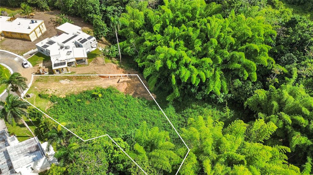 An aerial view shows a vacant residential lot bordered by lush trees and nearby houses — 8 ESTRELLA BLQ G10, GUAYNABO, PR