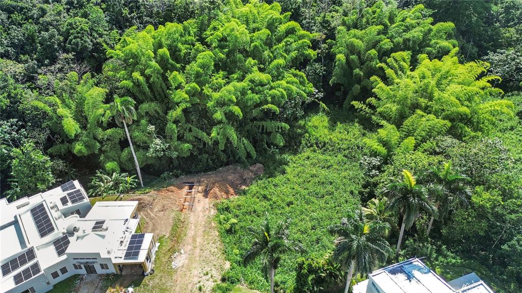 An aerial view shows a modern house with solar panels next to a wooded area — 8 ESTRELLA BLQ G10, GUAYNABO, PR