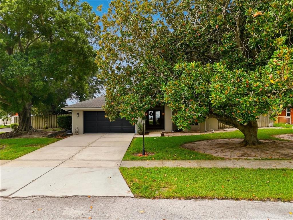 A single-story house with a dark garage door and a large tree in the front yard — 238 COLLEGE GROVE CIRCLE NE, WINTER HAVEN, FL
