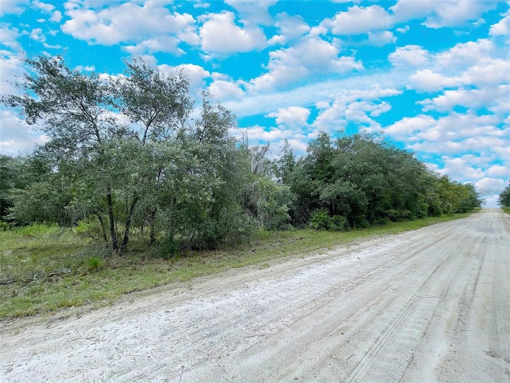 A dirt road runs alongside a wooded lot under a blue sky with clouds — 14250 SE 2ND STREET, WILLISTON, FL