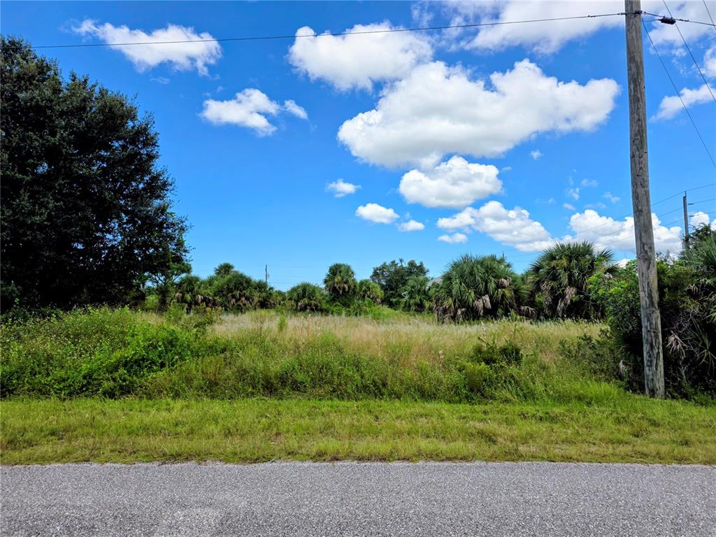 A view of an overgrown, vacant lot from the edge of a paved road — 9177 ARBERG STREET, PORT CHARLOTTE, FL