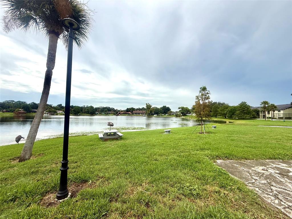 A grassy lawn leads to a lake with a picnic table and a palm tree — 926 LAKE DESTINY ROAD UNIT F, ALTAMONTE SPRINGS, FL