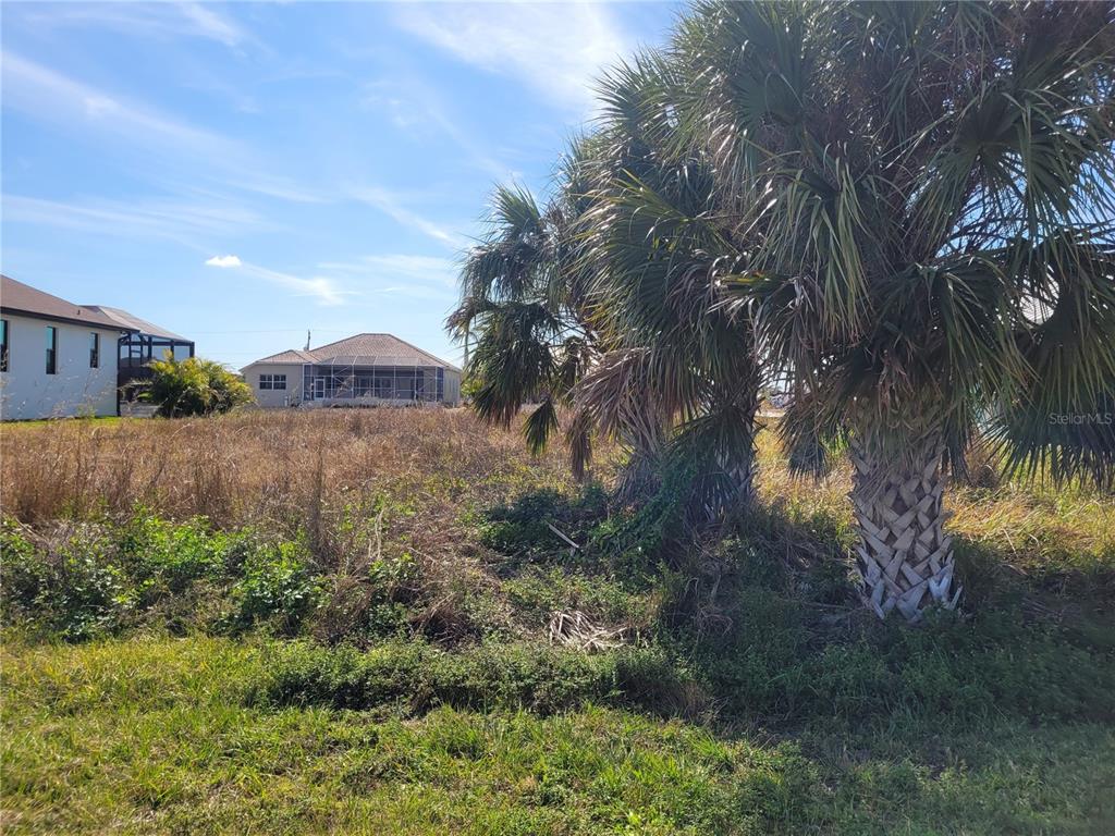 A vacant, grassy lot features several palm trees in the foreground and nearby houses — 15268 TAURUS CIRCLE, PORT CHARLOTTE, FL