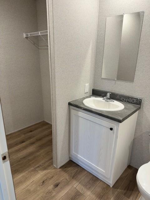 A bathroom vanity with a sink and mirror sits next to an open closet — 16136 CHANCAS STREET, BROOKSVILLE, FL