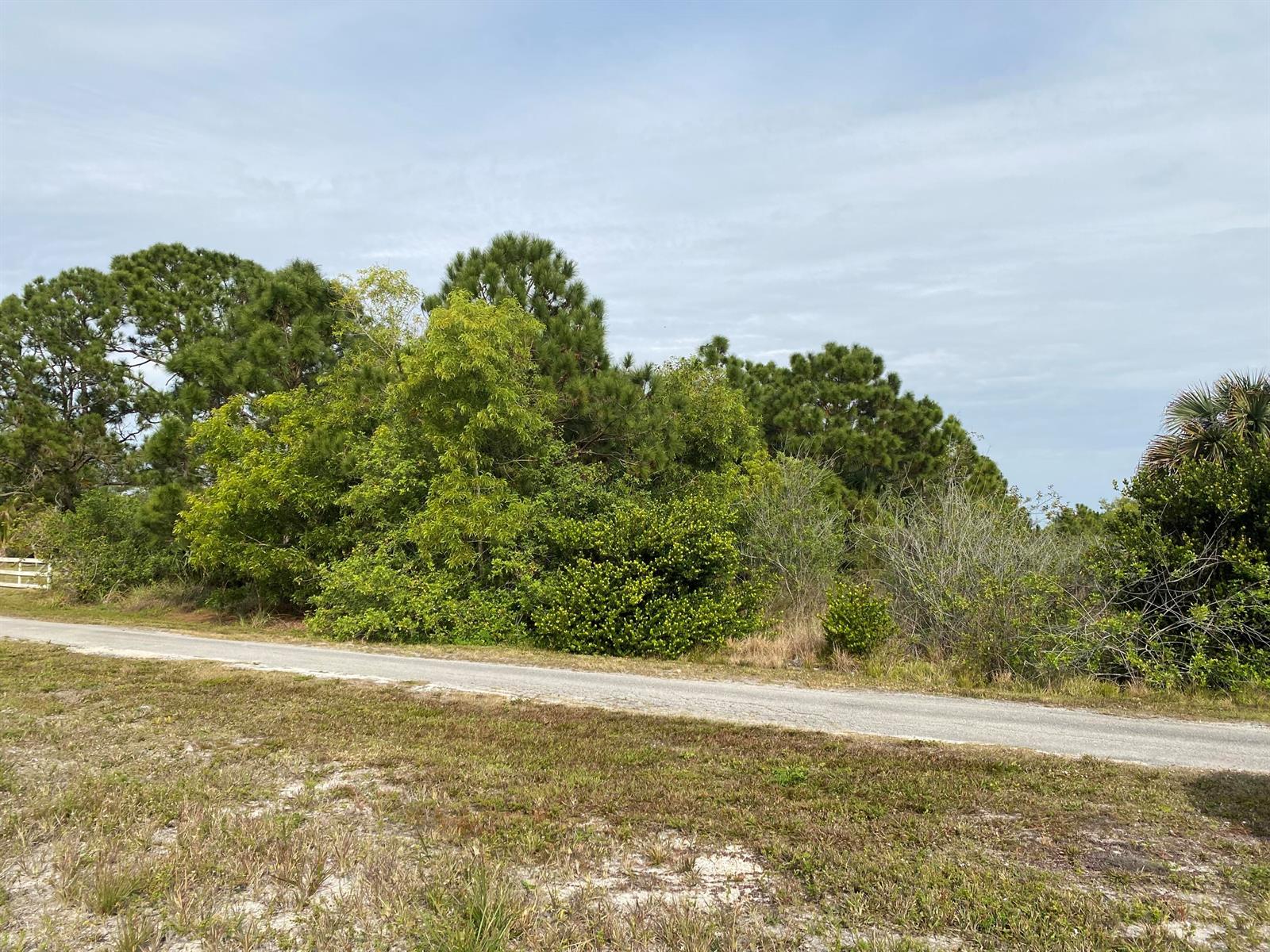 A paved road runs in front of a dense thicket of trees and shrubs — 17755 Fox Trail Lane, Loxahatchee FL 33470, LOXAHATCHEE, FL