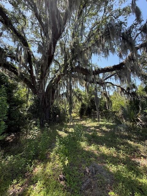 17918 NE US HIGHWAY 301, WALDO, FL — photo 3 of 5