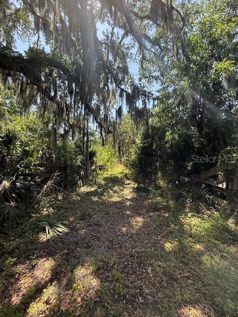 17918 NE US HIGHWAY 301, WALDO, FL — photo 4 of 5