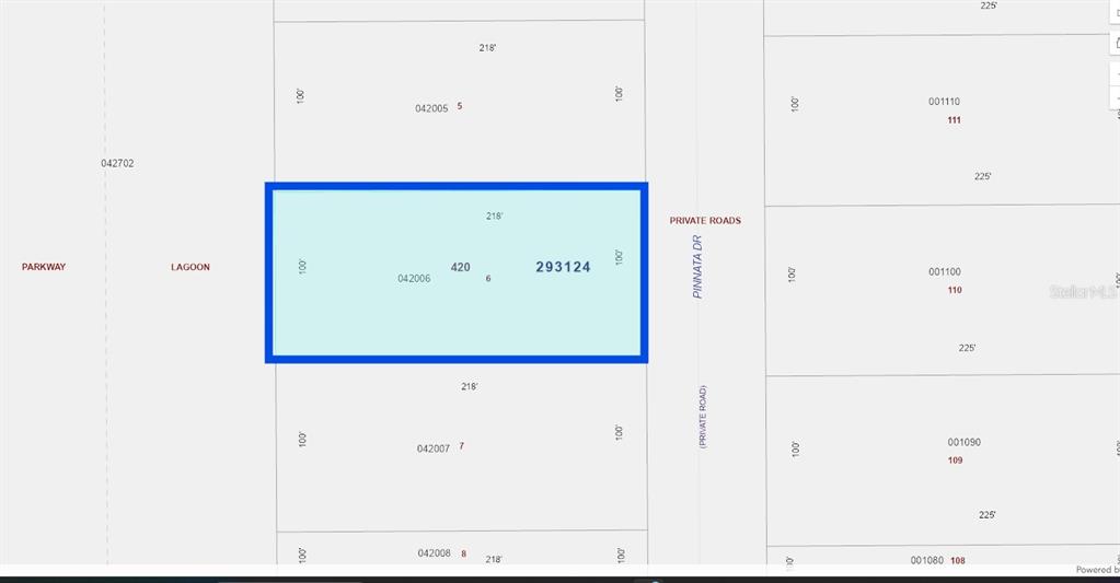 This is a property map showing a rectangular parcel of land with dimensions of 218' by 100 — 1211 PINNATA DRIVE, INDIAN LAKE ESTATES, FL