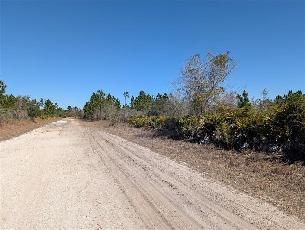 A dirt road runs alongside a wooded area with palmetto bushes under a clear sky — 1211 PINNATA DRIVE, INDIAN LAKE ESTATES, FL