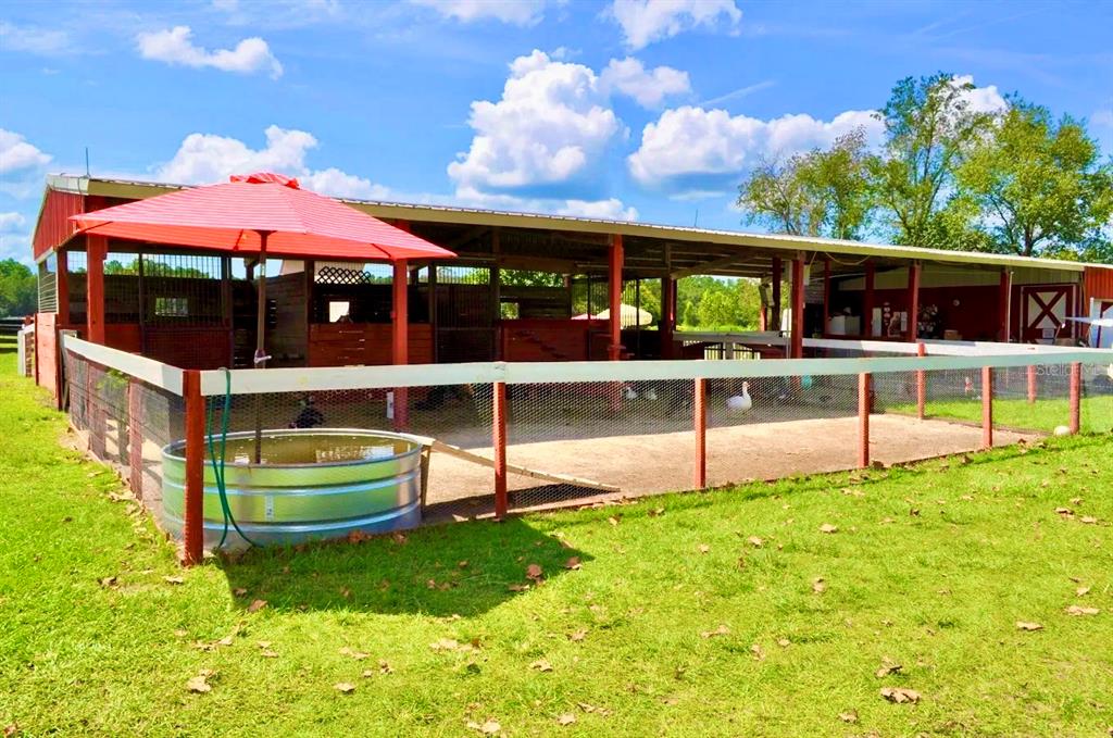 A red-roofed barn with horse stalls sits behind a fenced enclosure containing a metal trough — 11150 W HIGHWAY 40, OCALA, FL