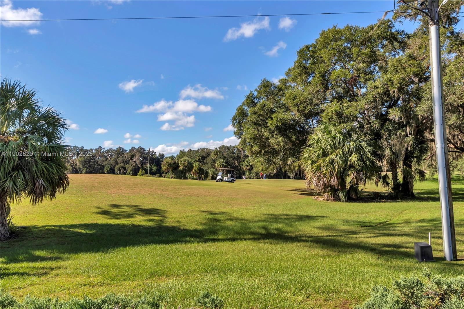 A view of a grassy golf course with trees and a golf cart — 737 Midway Dr # B, Ocala FL 34472, OCALA, FL