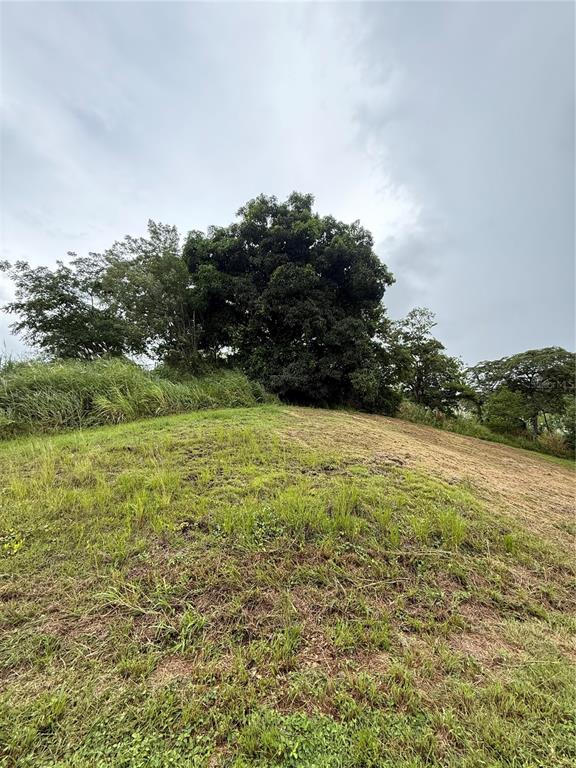 ROUTE 159, COROZAL, PR — photo 2 of 30