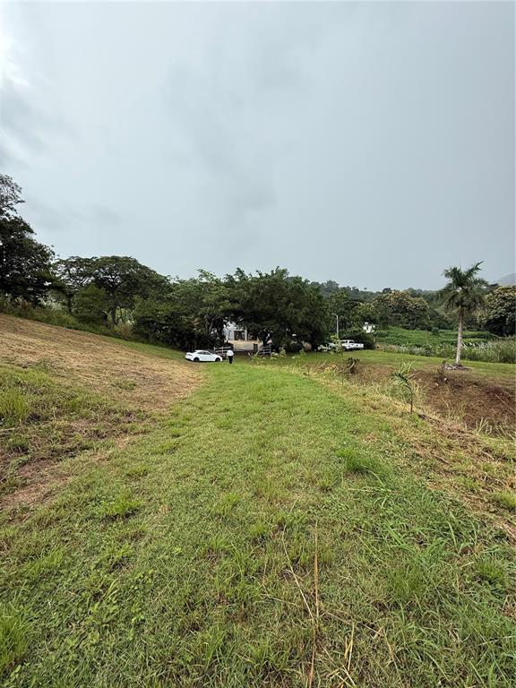 ROUTE 159, COROZAL, PR — photo 3 of 30