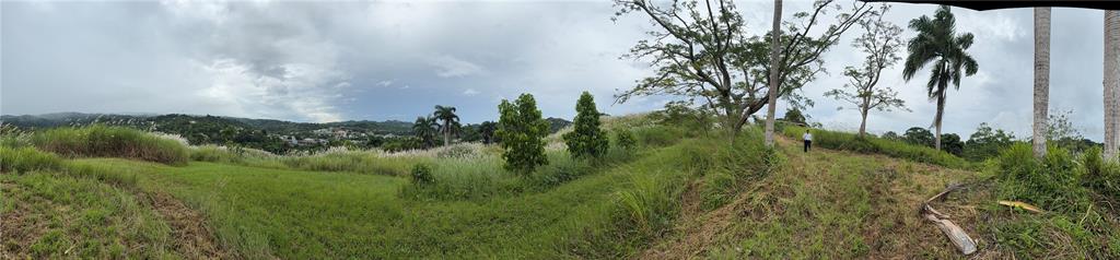 ROUTE 159, COROZAL, PR — photo 4 of 30