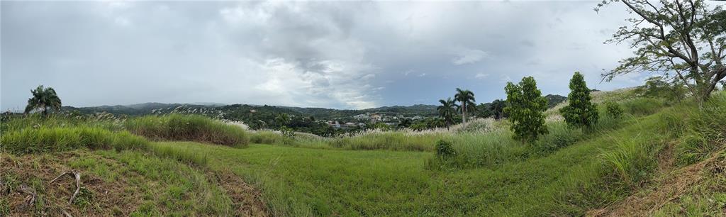 ROUTE 159, COROZAL, PR — photo 5 of 30