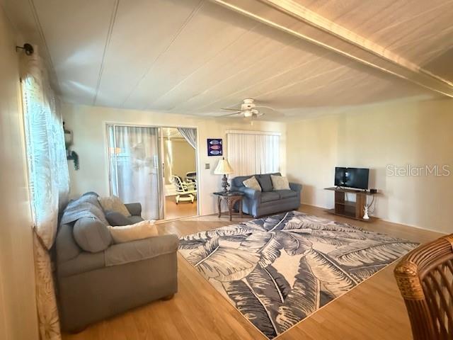 A living room features a gray sofa, a patterned area rug, and a television stand — 184 INDEPENDENCE AVENUE UNIT 8, PALM HARBOR, FL