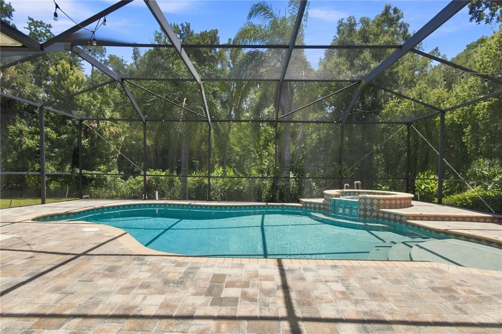 5046 SILVER CHARM TERRACE, WESLEY CHAPEL, FL — photo 2 of 30