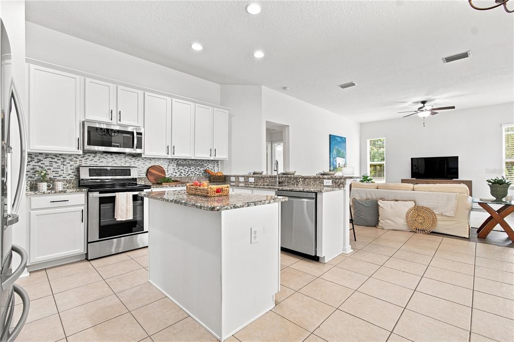 5046 SILVER CHARM TERRACE, WESLEY CHAPEL, FL — photo 4 of 30
