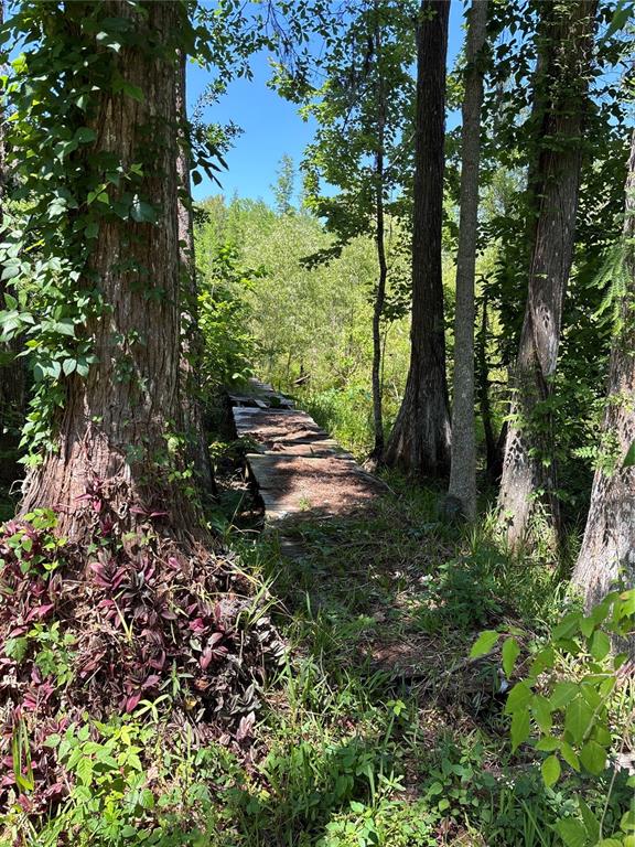 A wooden boardwalk path leads through a wooded area with tall trees and dense foliage — 9260 LAKE DRIVE, NEW PORT RICHEY, FL
