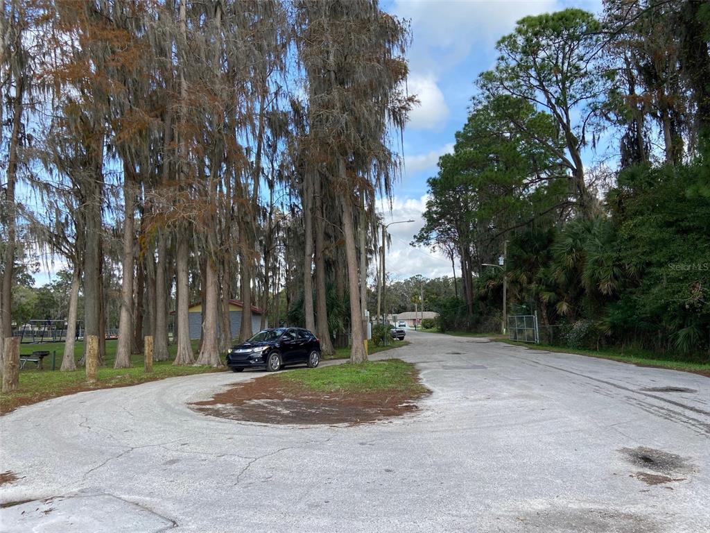 A black car is parked on a paved road near a cluster of tall trees — 9260 LAKE DRIVE, NEW PORT RICHEY, FL