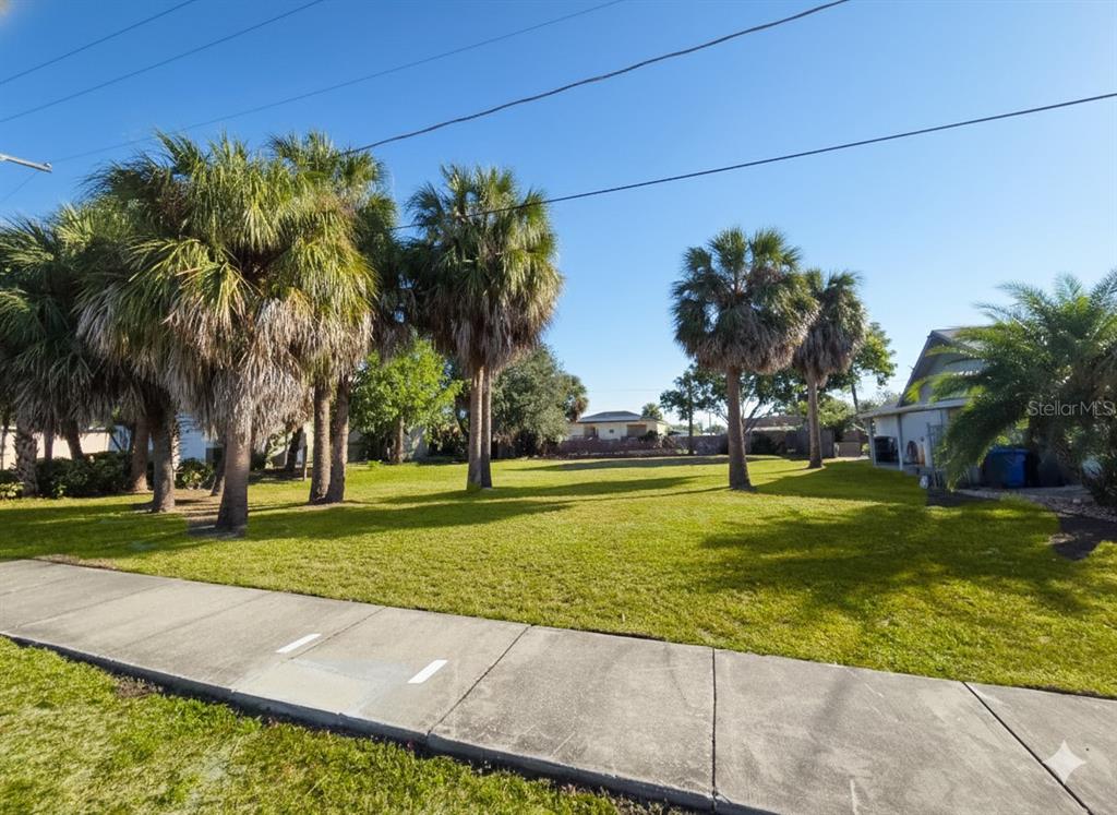 A grassy vacant lot features several tall palm trees and a sidewalk in the foreground — 6225 FLAMINGO DRIVE, APOLLO BEACH, FL