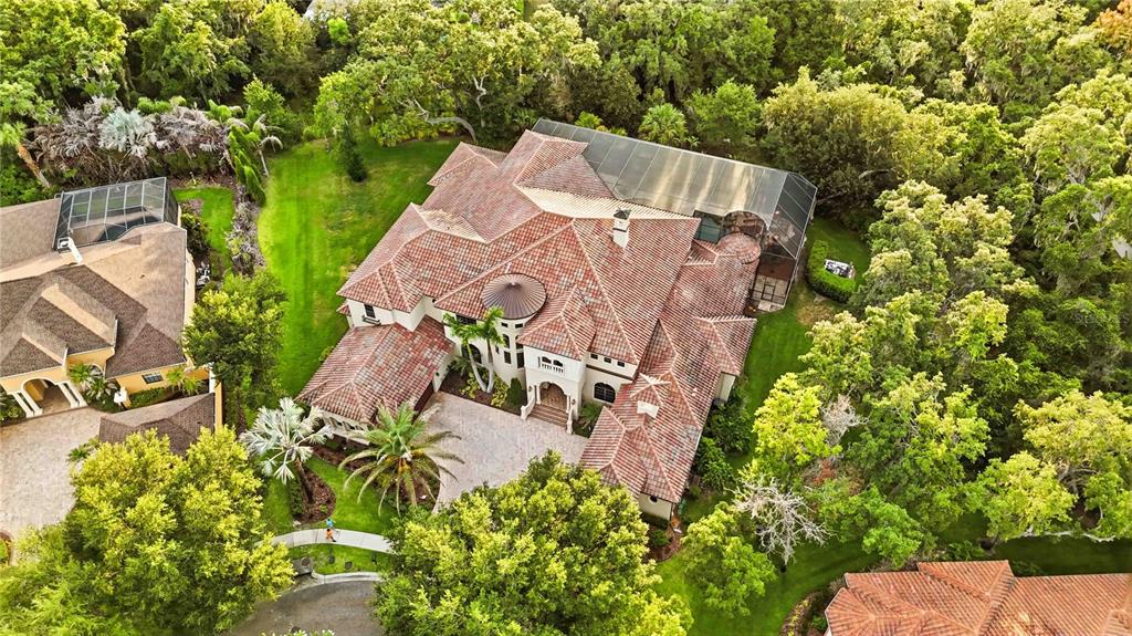 16220 TERNGLADE DRIVE, LITHIA, FL — photo 2 of 30