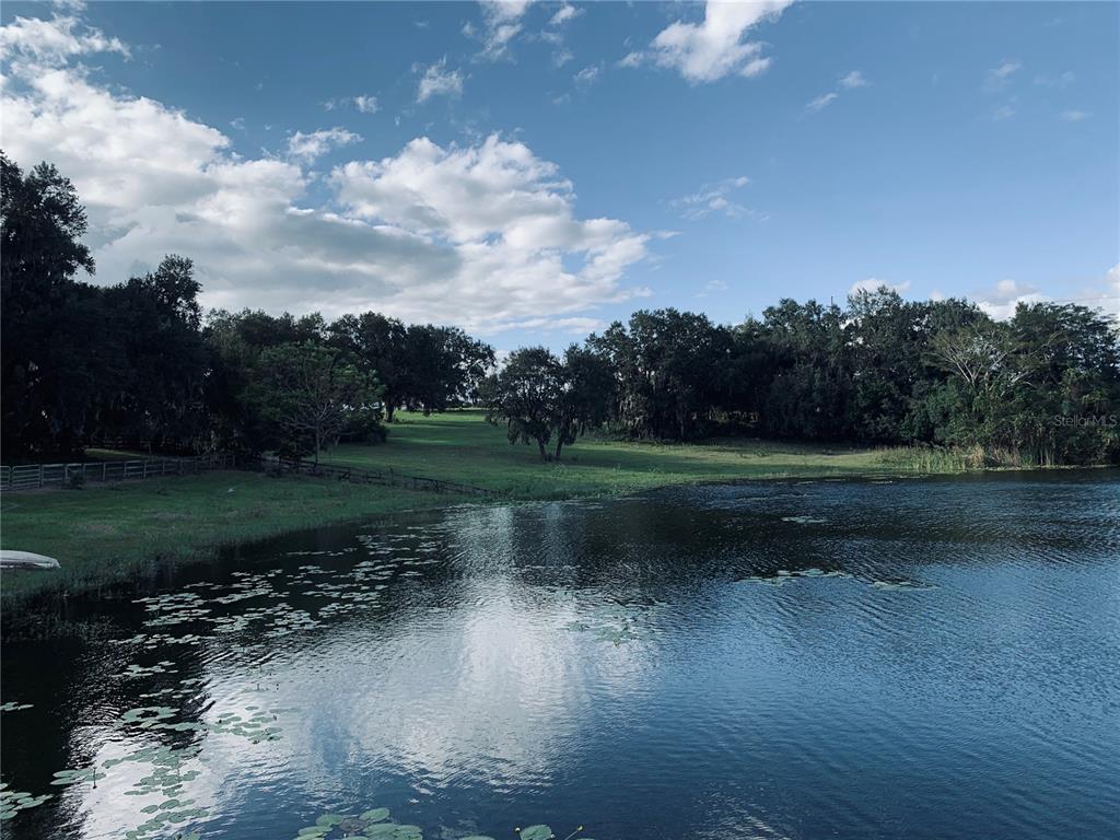 TBD LAKE BURNS ROAD, UMATILLA, FL — photo 2 of 4