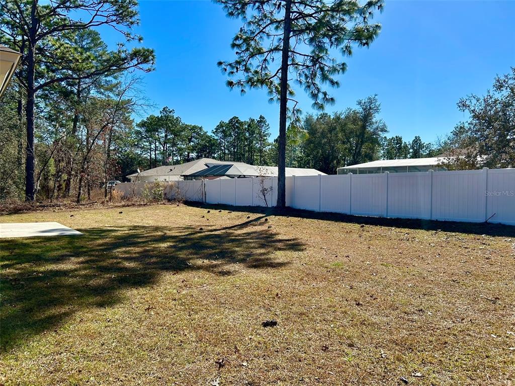 A grassy backyard features a white vinyl privacy fence and several tall pine trees — 1510 W GAINSBORO LANE, CITRUS SPRINGS, FL