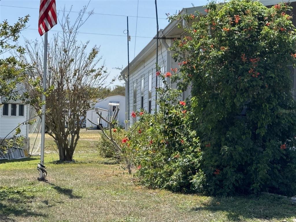 A white house exterior features a flagpole, a large flowering bush, and a grassy yard — 8689 BREEZE HILL DRIVE, LAKE WALES, FL