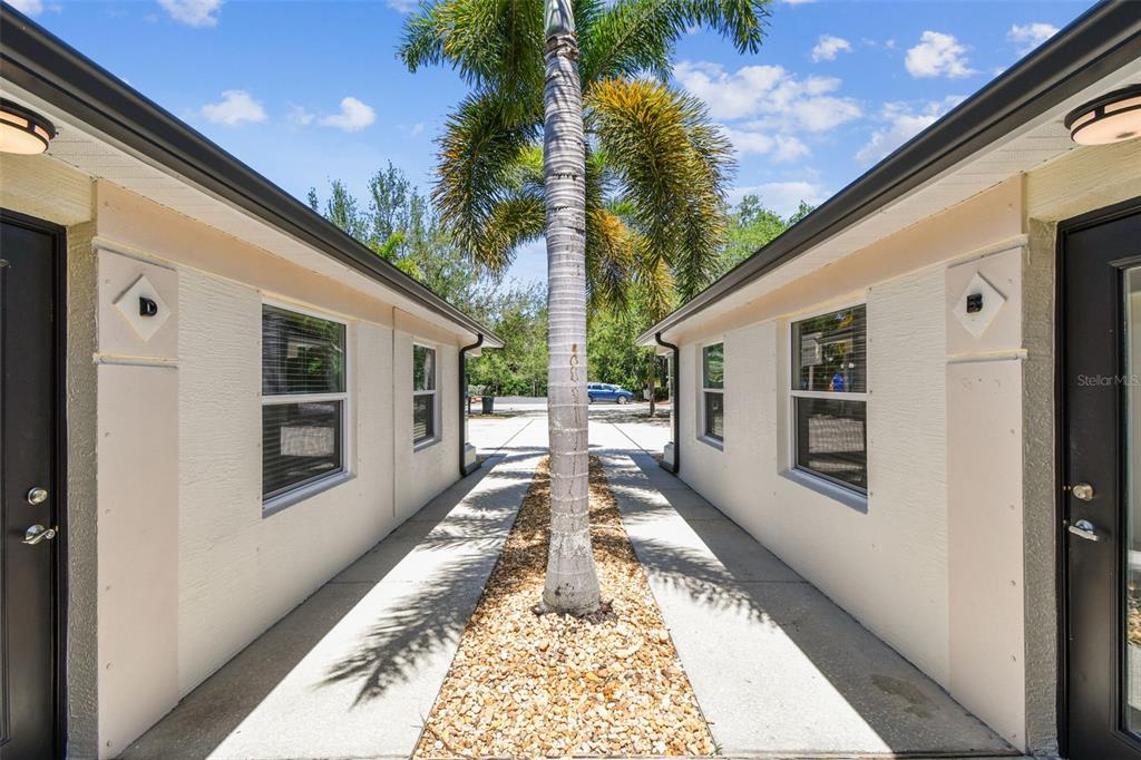 A palm tree stands between two exterior building units with concrete walkways and gravel landscaping — 670 2ND STREET N, SAFETY HARBOR, FL