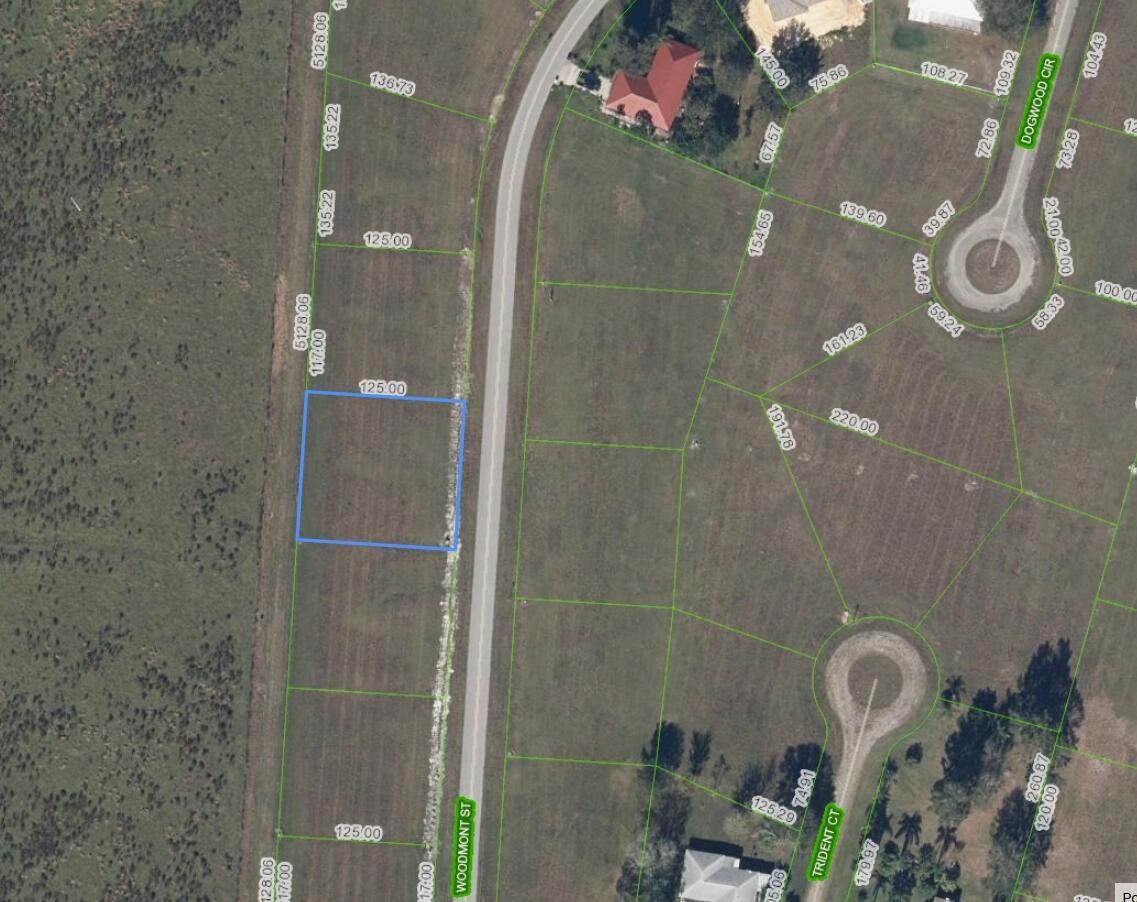 816 Woodmont Street, Sebring FL 33876