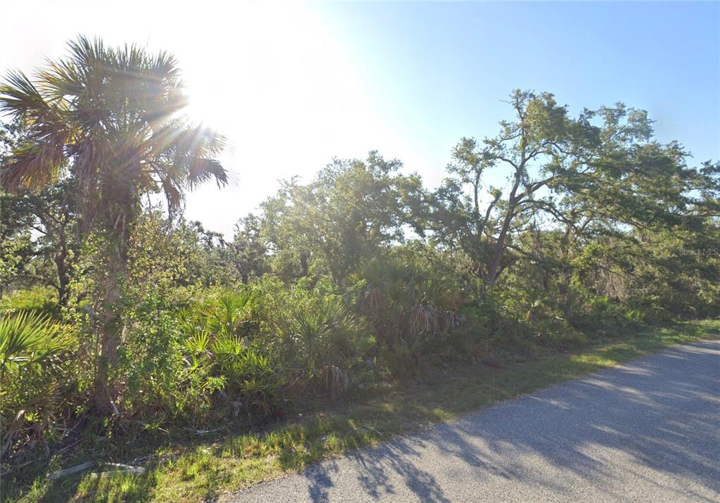 A sunlit, wooded vacant lot with palm trees and native vegetation borders a paved road — SANTA ROSA STREET, NORTH PORT, FL