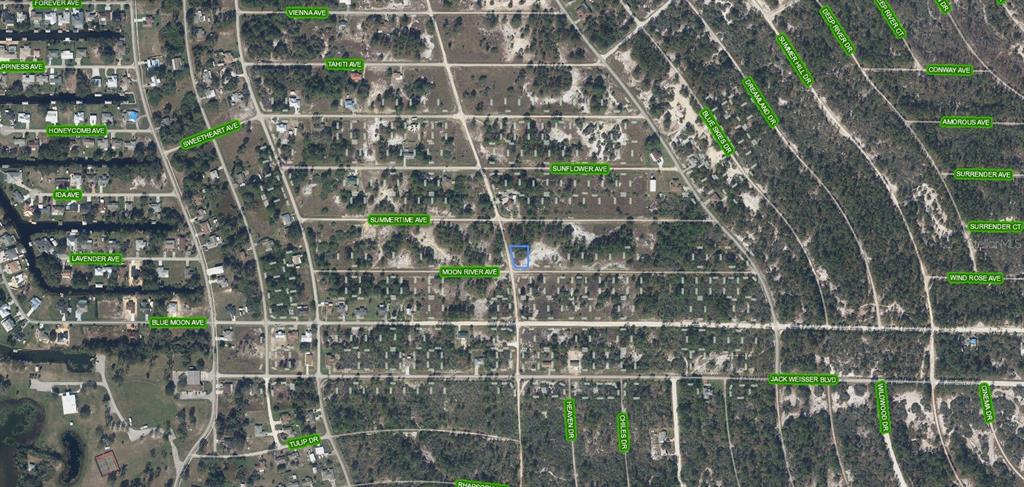 An aerial map view shows a highlighted vacant lot within a residential neighborhood grid — 300 MOON RIVER AVENUE, LAKE PLACID, FL