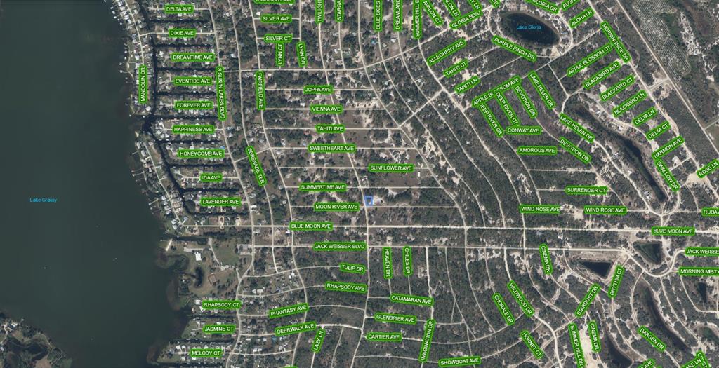 This is an aerial map view of a residential neighborhood near a large lake — 300 MOON RIVER AVENUE, LAKE PLACID, FL