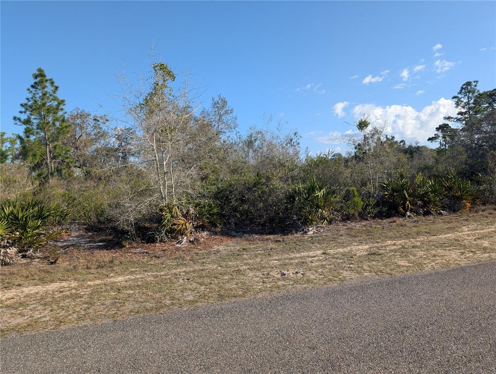 A paved road runs alongside a vacant, wooded lot with native Florida vegetation — 207 VALENCIA DRIVE, INDIAN LAKE ESTATES, FL