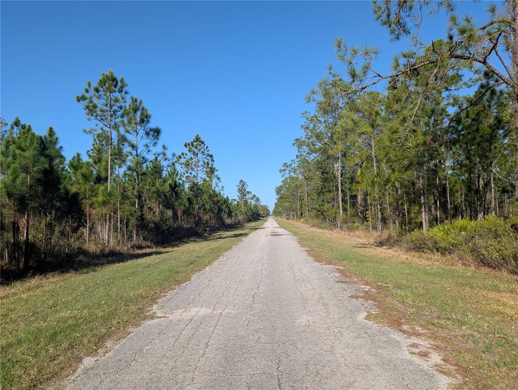 A narrow, weathered asphalt road stretches through a wooded area under a clear blue sky — 207 VALENCIA DRIVE, INDIAN LAKE ESTATES, FL