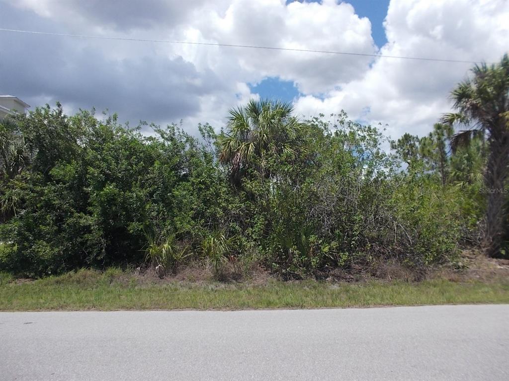 A vacant, heavily wooded residential lot sits alongside a paved road under a cloudy sky — 14232 ROTHSCHILD AVENUE, PORT CHARLOTTE, FL