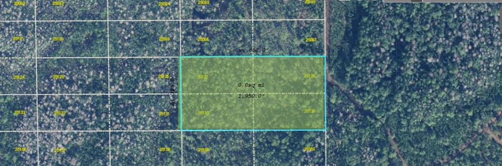 This is a map showing a rectangular plot of land highlighted in green — DILL ROAD, ORLANDO, FL