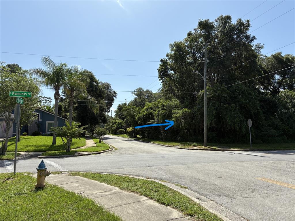 A street corner features a fire hydrant, a street sign, and a wooded vacant lot — 401 S KENTUCKY AVENUE, DELAND, FL