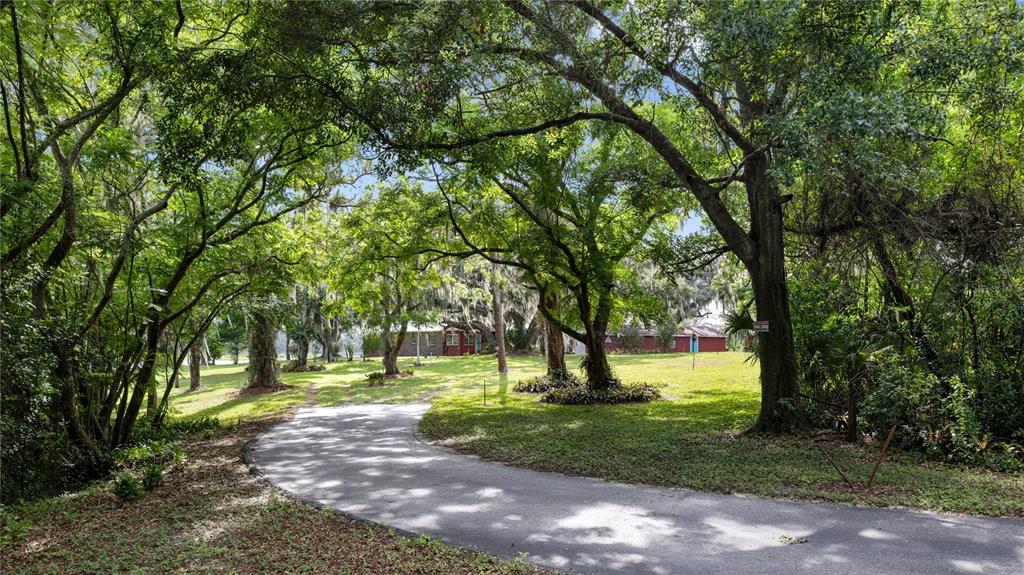 A paved driveway leads through a wooded yard toward a red house under large trees — 2636 REAGAN TRAIL, LAKE MARY, FL