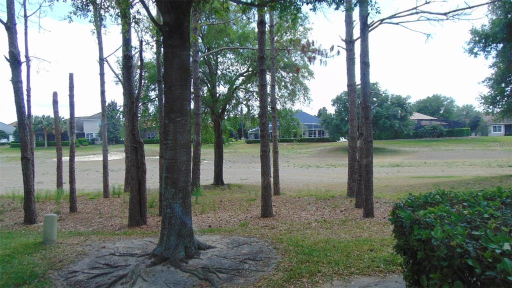 A view of a grassy yard with several tall trees and residential houses in the background — 3807 BEACON RIDGE WAY, CLERMONT, FL