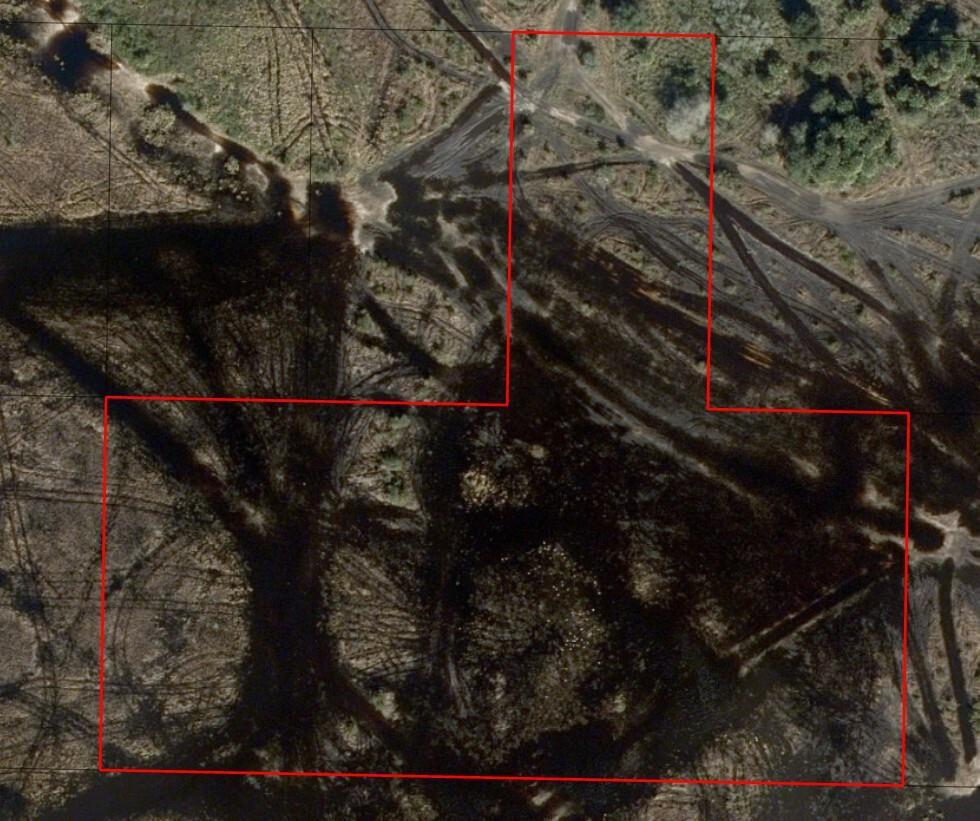 An aerial view of a plot of land marked by a red boundary line — 0 NW 290th Street, Okeechobee FL 34972, OKEECHOBEE, FL