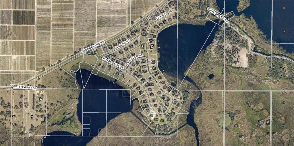 This is an aerial map showing a residential subdivision with numbered lots near a lake — 17152 ROYAL PALM DRIVE, GROVELAND, FL