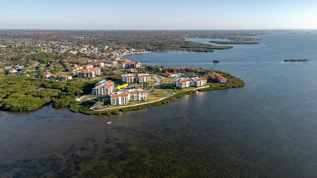 An aerial view shows waterfront apartment buildings surrounded by mangroves and a large bay — 208 MARINER DRIVE UNIT 208, TARPON SPRINGS, FL